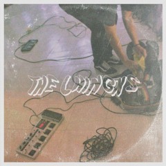 Singularity -The Chingks (Demo)