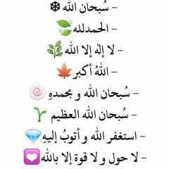 محمود الشحات انور