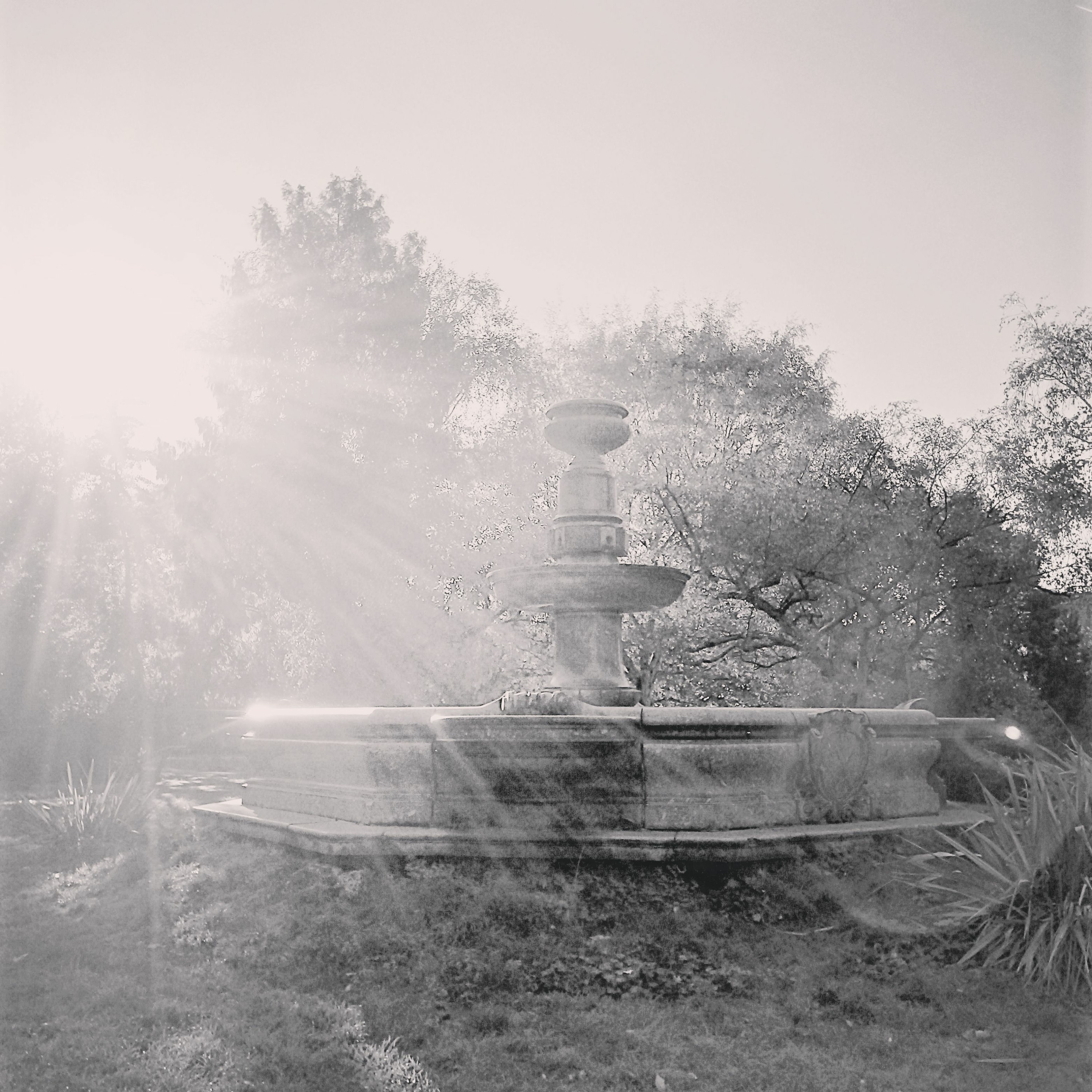 Simon Littlefield