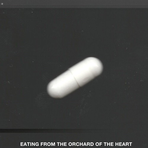 Premiere: OPERANT - 3D Printed Genitals [Instruments Of Discipline]