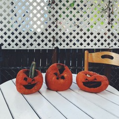 Ghosts Among the Living