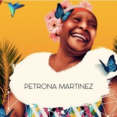 Petrona Martinez - Un Niño Que Llora En Los Montes De Maria (Atropolis RMX)