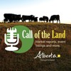 Stacey Domolewski: Beef Cattle Research Council webinar series