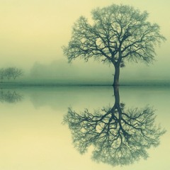LAGOON: Winter Selection 2018