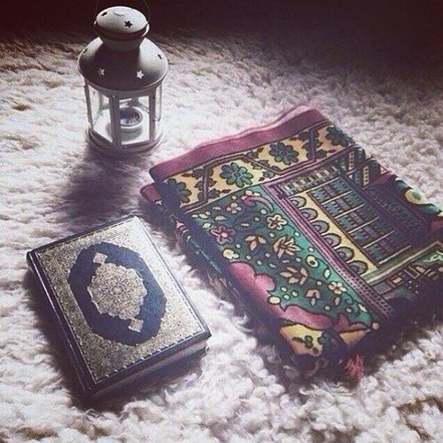 المنشاوي 🗯️