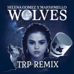 Selena Gomez X Marshmello - Wolves Chachi X Rick Wonder Remix