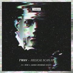 TWAN - De Vos (Danilo Incorvaia Remix)
