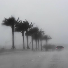 WELCOME TO SUNNY F.L.A (Prod by. kloudbeats)