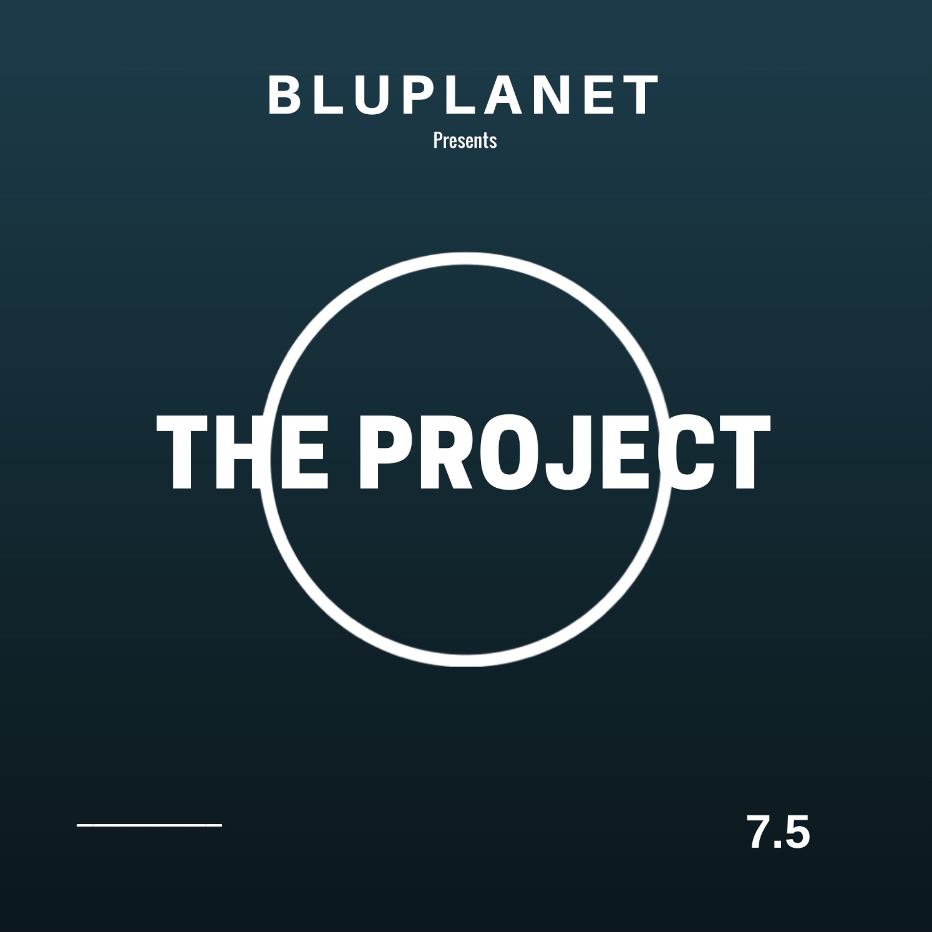 The Project Sessions