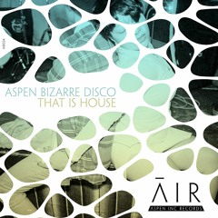 Aspen Bizarre Disco - That Is House *SC Snippet* Release 19thNov2K18 Traxsource_excl.*