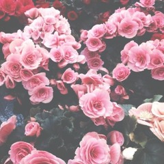 241 - Rivermaya (short cover)