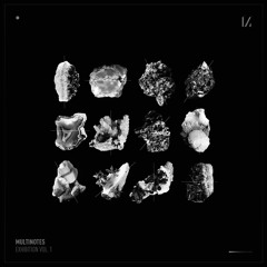 EXCLUSIVE: Toto Chiavetta - The Paranoid GoGo [Multinotes]