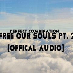Perfect Combination- Free Our Souls Pt. 2