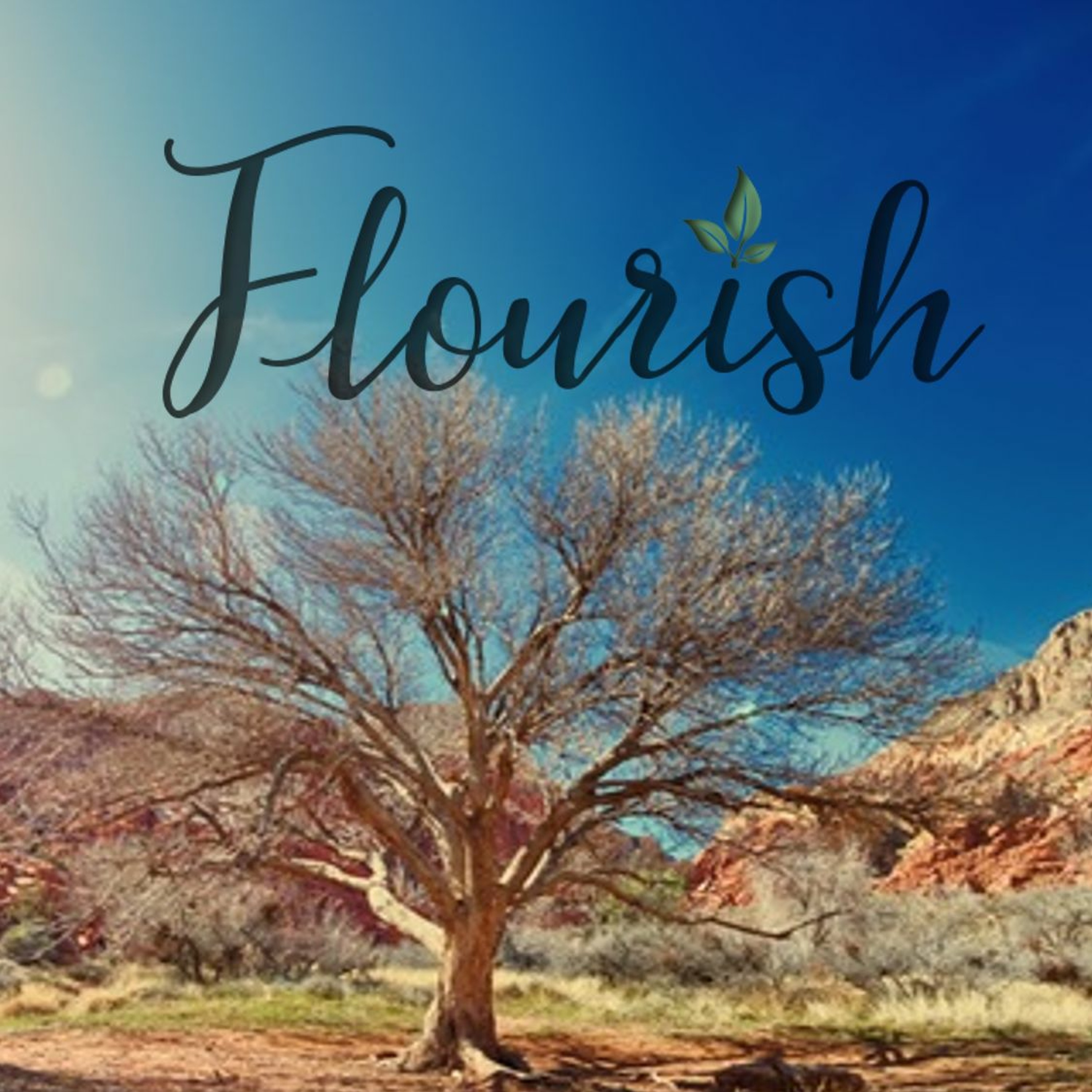"Flourish or Preserve" by Erica Cox || Mark 8:31-38 || September 16, 2018 episode artwork