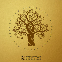 Maty Owl - Indigo Child (Original Mix) | Steyoyoke