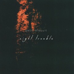 Petit Biscuit - Night Trouble (Mr. Po Remix)