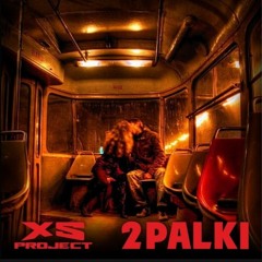 XS Project - 2 Palki