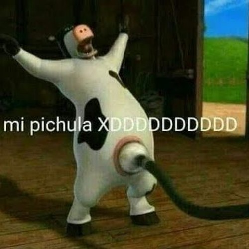 PICHULA