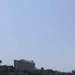 South Central (Prod. YOUNGCORALREEF)