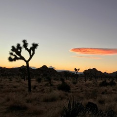 UV Tourist - Year In Exile (2018 Mix)