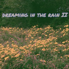 dreaming in the rain II
