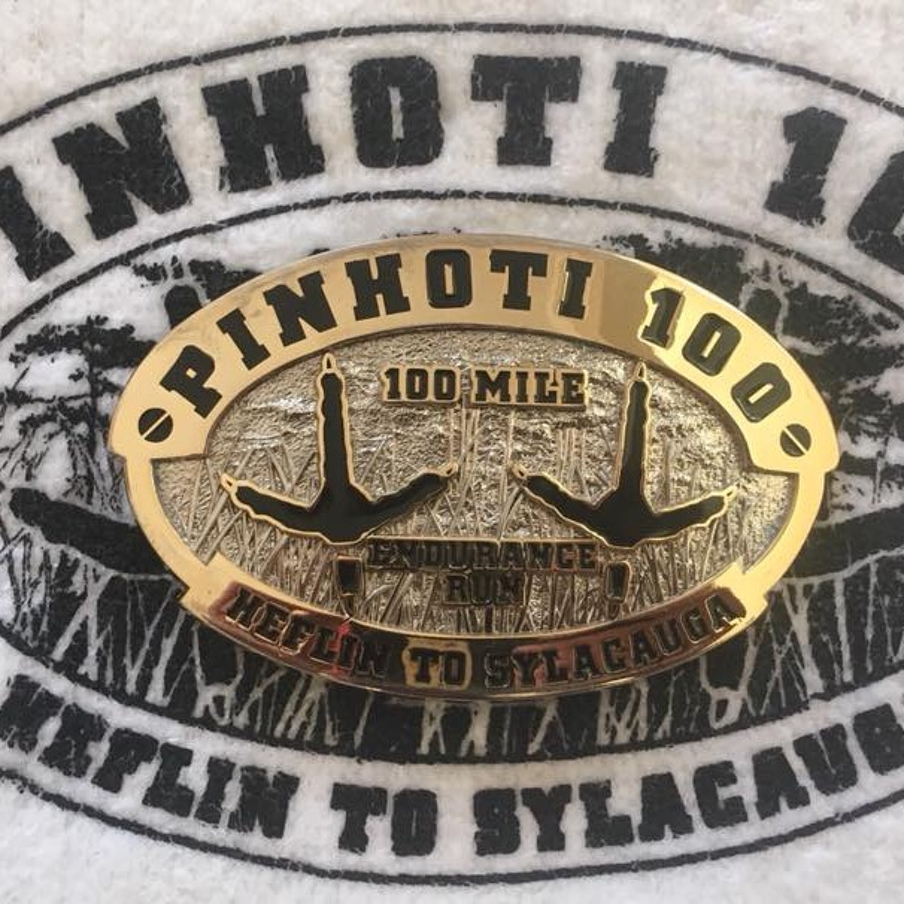 110: Road to 2018 Pinhoti 100: Talking with Pinhoti 100 Runners episode artwork