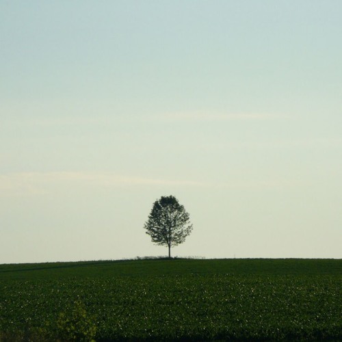 Solitude