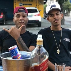 Mc Torugo - Ninfeta ( DJ CARLITINHO E DJ TITI )