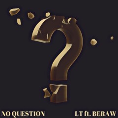 No Question ft. BERAW(prod. TundraBeats)
