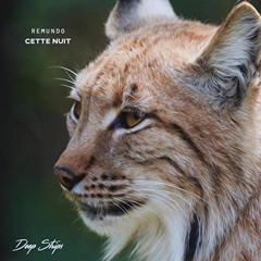 Remundo - Cette Nuit (Sept 2018)