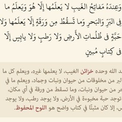 " وَعِندَهُ مَفَاتِحُ الْغَيْبِ لَا يَعْلَمُهَا إِلَّا هُوَ " 💜🌸|| محمود الشحات أنور