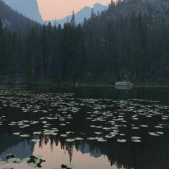 SCARS  W/ MAVERICK COAST & JENA