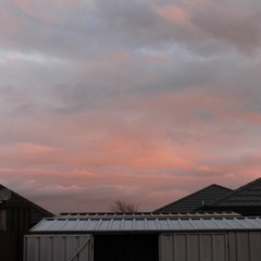 imma have to call her back