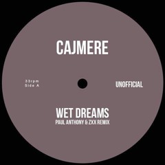 Cajmere - Wet Dream (Paul Anthony & ZXX Remix)