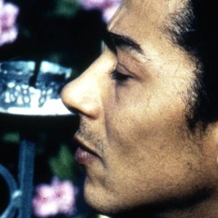 THE WAY YOU LOOK TONIGHT - METROPOLE ORCHESTRA '92