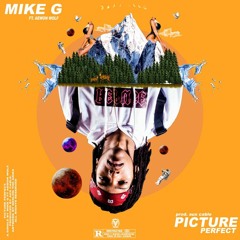 PERFECT PICTURE Ft Aewon Wolf