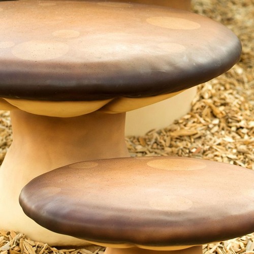 Mushroom Bridge