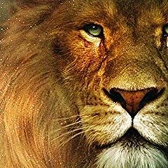 فالح القضاع احن الي ضرب السيوف عنتره