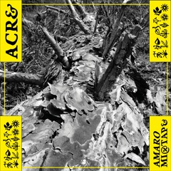 ACRE / grateful kid