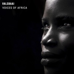 valsBaai - Voices Of Africa (DNBB Records)