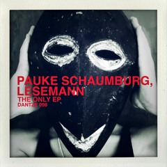 Pauke Schaumburg, Lesemann - Future - DTZ098