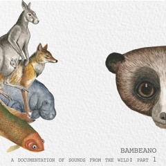 BamBeano - A Documentation of Sounds from the Wild: Part 1