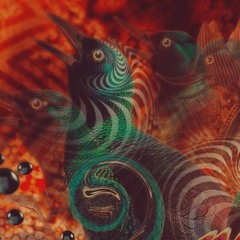 Boom Shankar´s Return to the Source Compilation