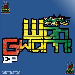 Diligent Fingers - What We Deal With