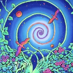 FREE DL : Shazse - Stereo Vegan (Original Mix)