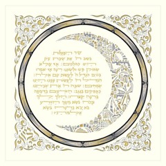 Shabbat Weekly