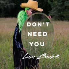 DON'T NEED YOU