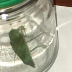 has  The machine touched U like it has touched ME