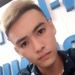 Nonstop Vietmix - Cánh Hồng Phai - LH Mix