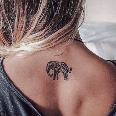 Elefante Indietro